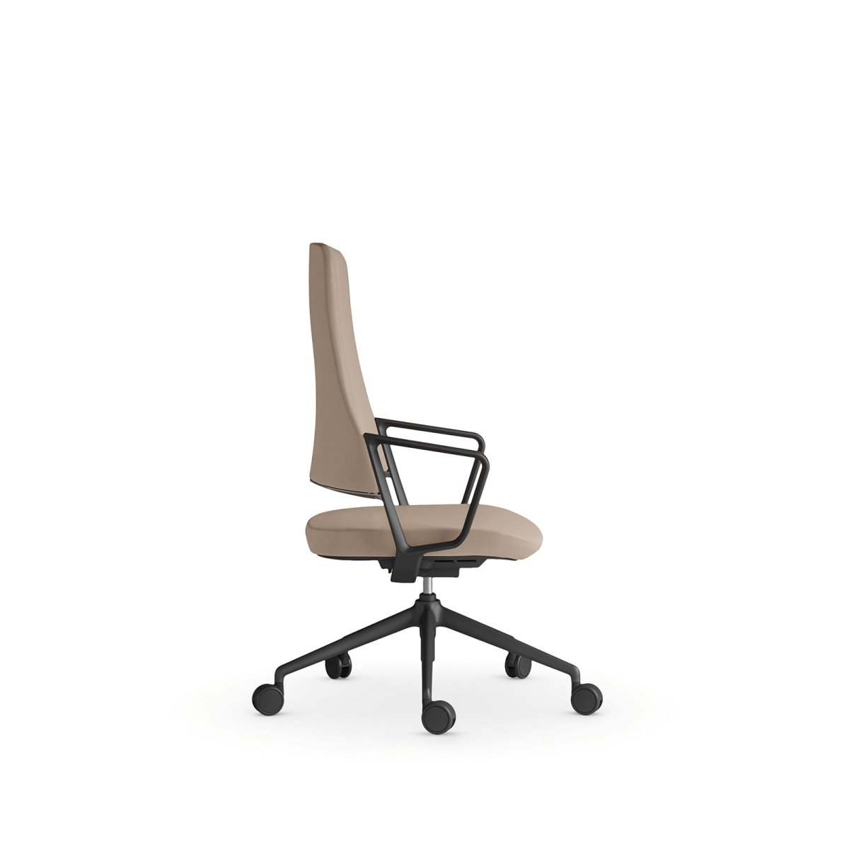 #prevedenie_Coloro Semi