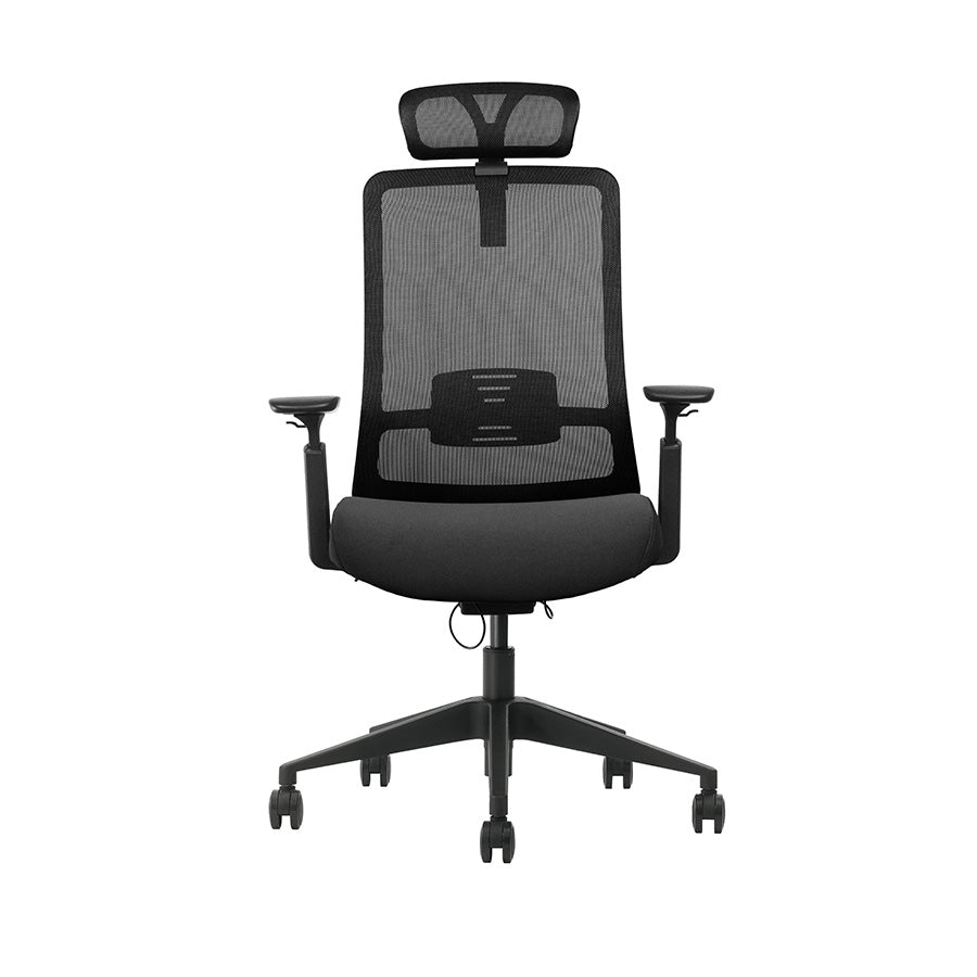 #prevedenie_quinn b hi