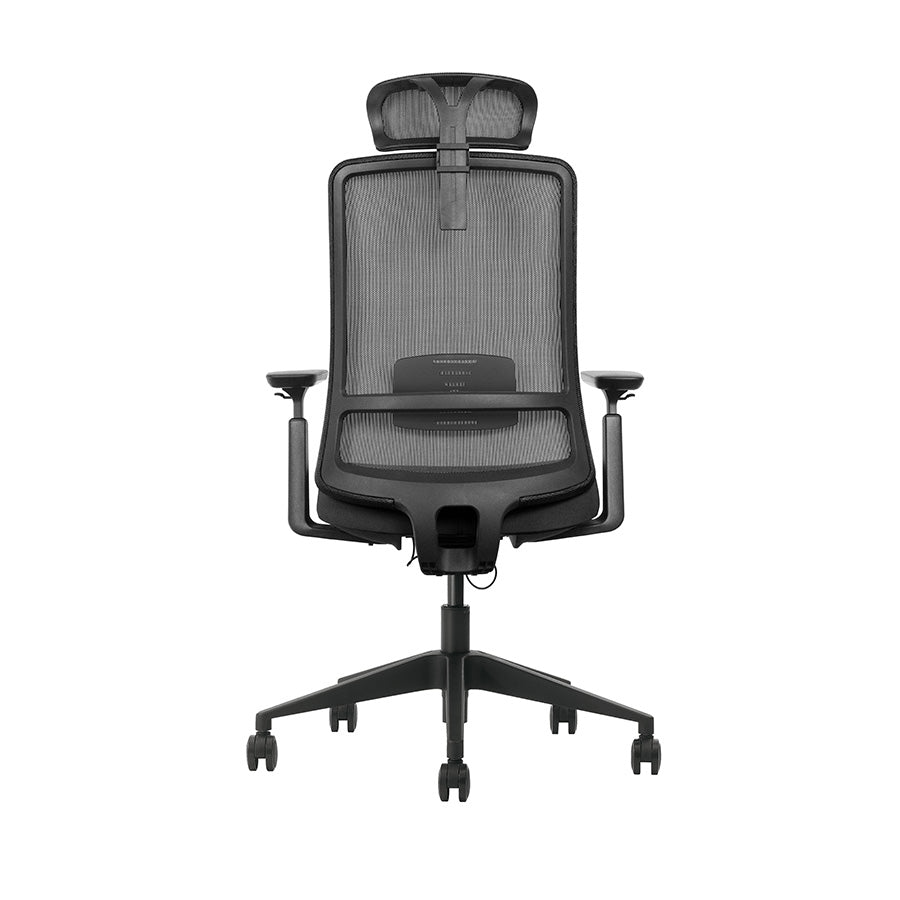 #prevedenie_quinn b hi