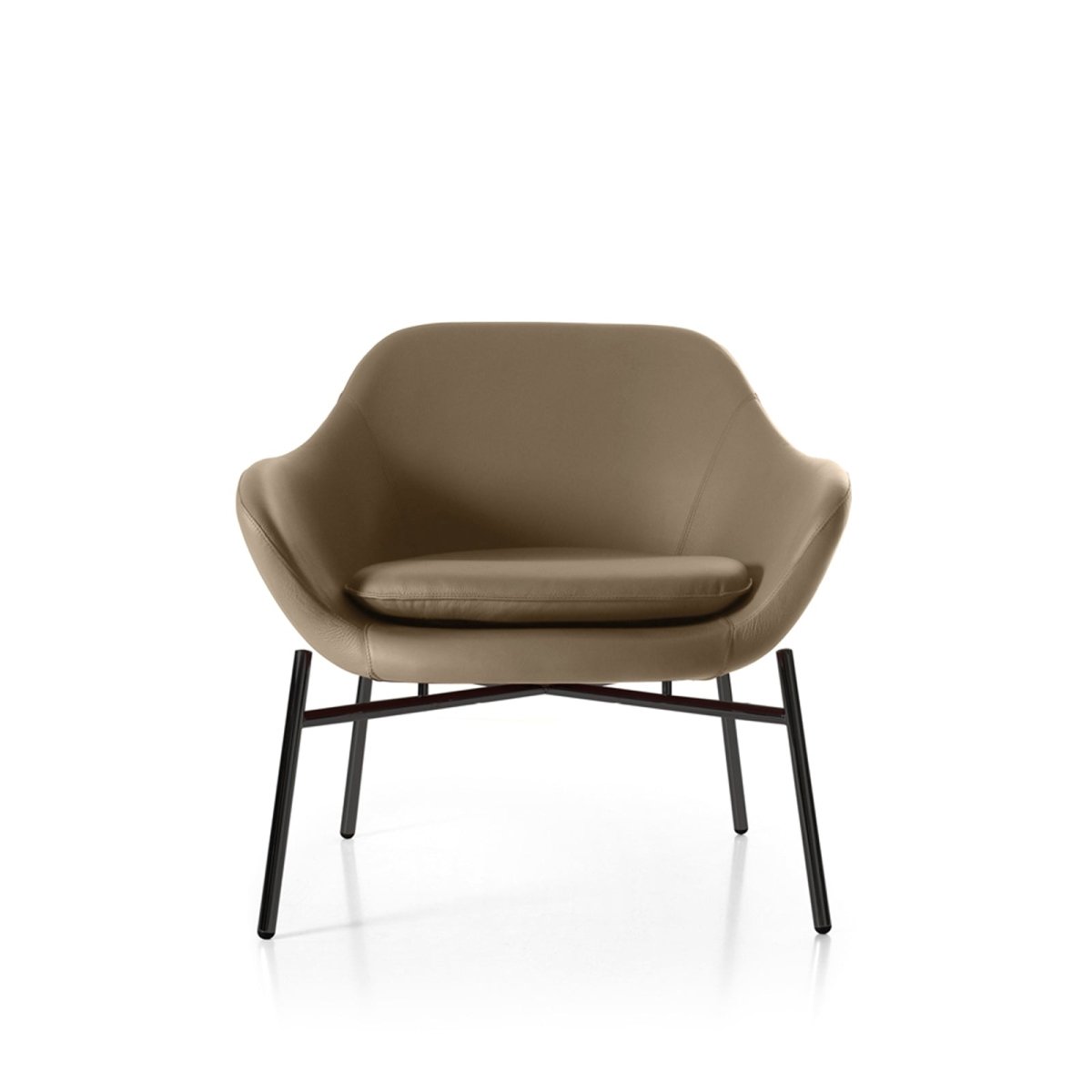 #prevedenie_ X0880NN0