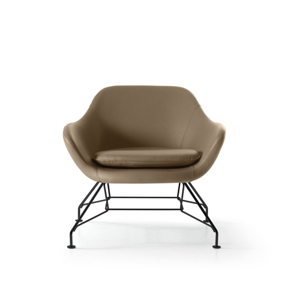 #prevedenie_ X0881NN0