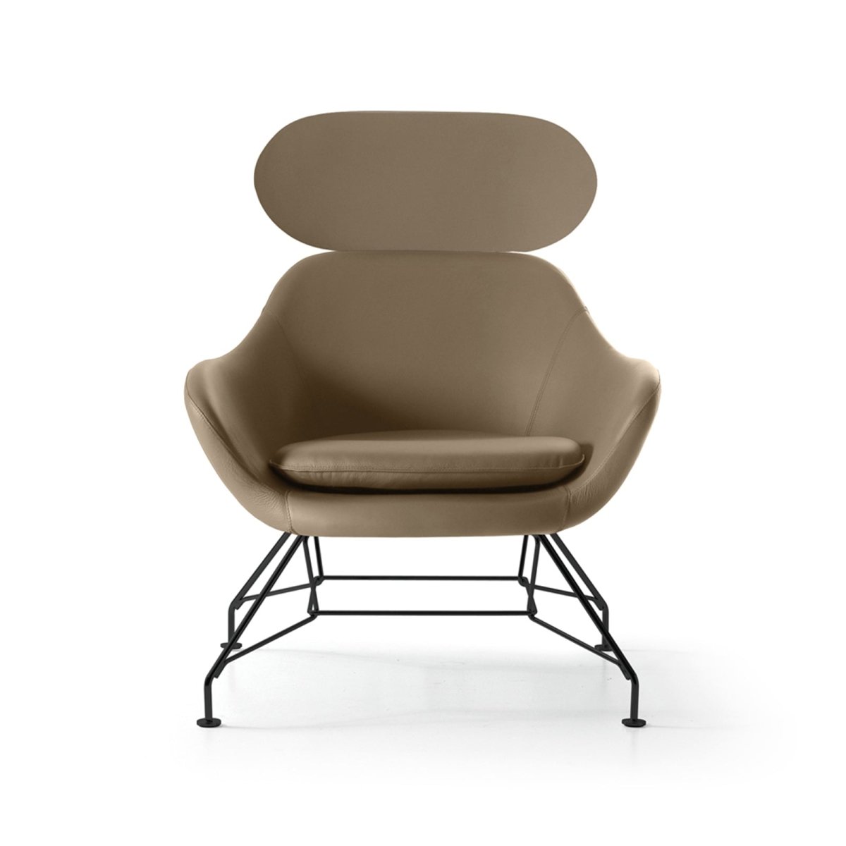 #prevedenie_ X0881NNP