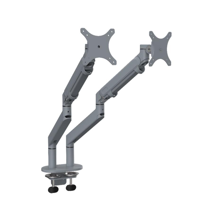 Double ErgoArm